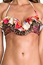 view 5 of 8 Instinct Layered Frill Bikini in Splice