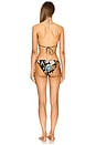 view 4 of 4 Tallow Spliced Ring Bikini in Spliced