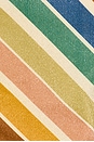 view 5 of 5 EVERLEY METALLIC トライアングルビキニ in Multi Stripe