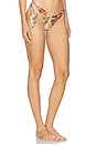 view 2 of 4 Coco Scarf Tie Pant in Tan Multi Floral