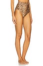 view 2 of 4 Cascadian High Waist Pant in Tan Leopard