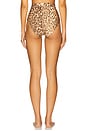 view 3 of 4 Cascadian High Waist Pant in Tan Leopard