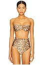 view 1 of 5 Cascadian Balconette Top in Tan Leopard