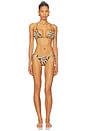 view 1 of 3 Wanderlust Ring Tie Bikini Set in Zebra