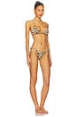 view 2 of 3 Wanderlust Ring Tie Bikini Set in Zebra