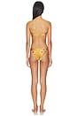 view 4 of 4 Mahon Bamboo Trim Bikini in Tan Hibiscus