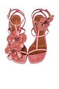 view 4 of 5 Orchid Sandal in Coral