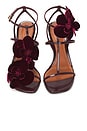 view 4 of 5 Orchid Sandal in Ruby