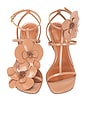 view 4 of 5 Orchid Sandal in Biscuit