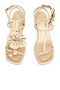 view 6 of 7 SANDALES BELARA 85 in Cream