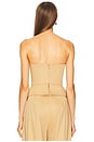 view 3 of 4 Desmia Corset Top in Beige