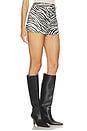 view 2 of 6 Ellis Shorts in Thin Black And White Zebra