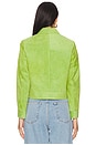 view 4 of 5 Shirt Jacket in Apple Green