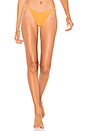 view 1 of 4 California Bikini Bottom in Burnt Orange