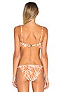 view 3 of 4 Wild Terrain Bikini Top in Print