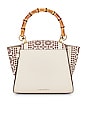 view 3 of 5 Eartha Crossbody Bag in Eggshell