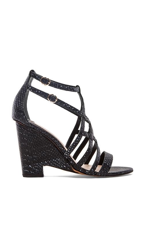 Zanzibar Heel