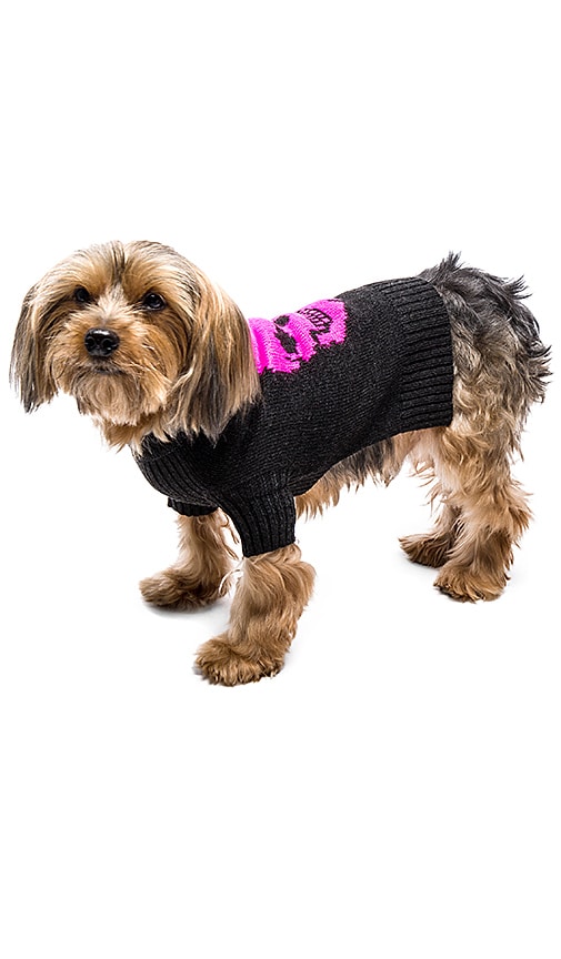 360 cashmere dog sweater