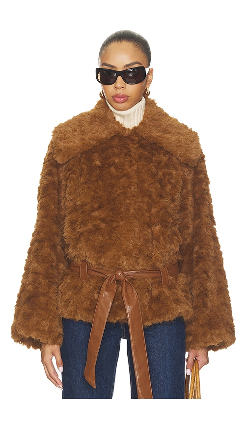 Etienne Faux Fur Jacket by 4th & Reckless in Chestnut