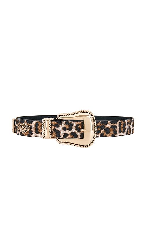 Leopard Print Belt With Gold Detail