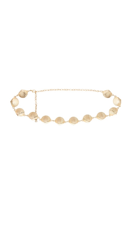 Seashell Belt