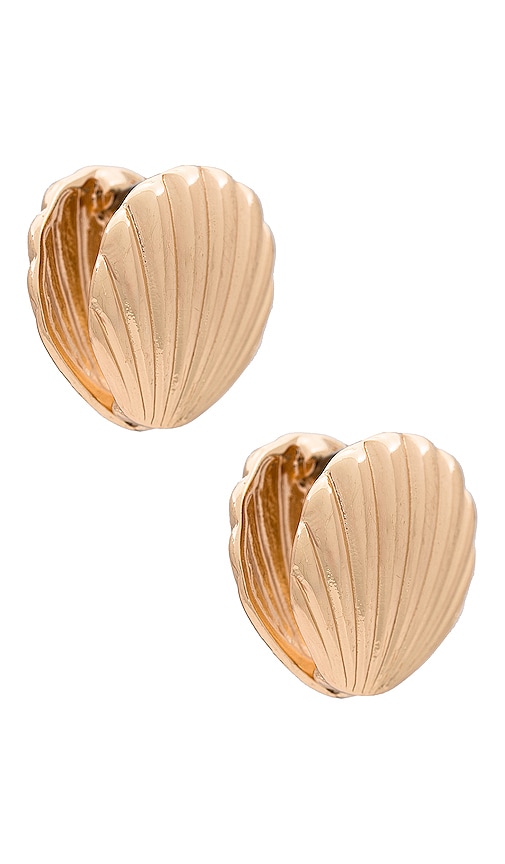 8 Other Reasons Shell Earring In Gold
