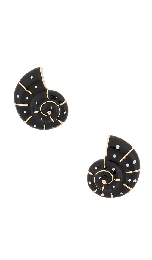 Spiral Shell Stud Earrings