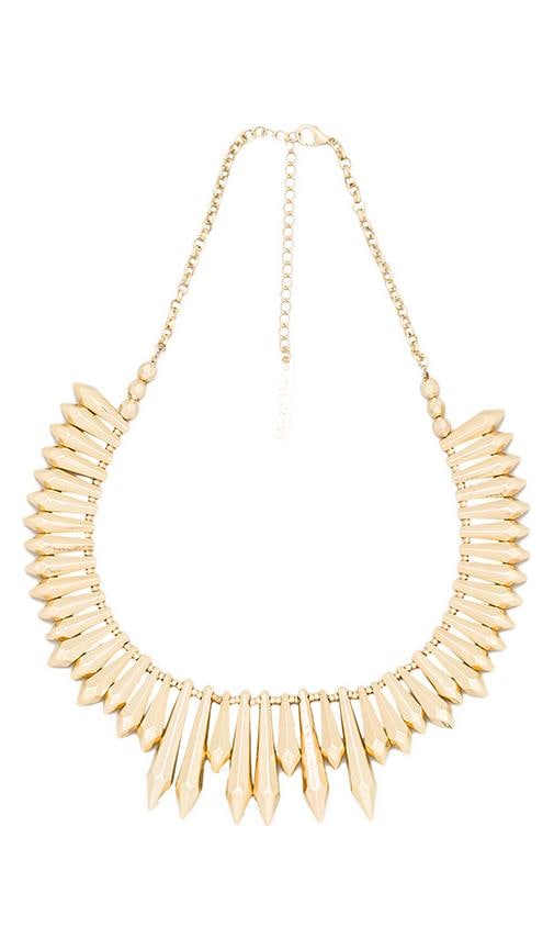 Expired Necklace