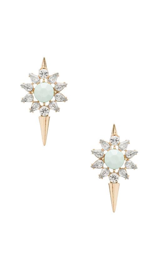 Loaded Earrings