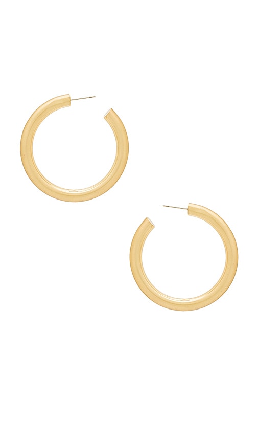Holly Hoops