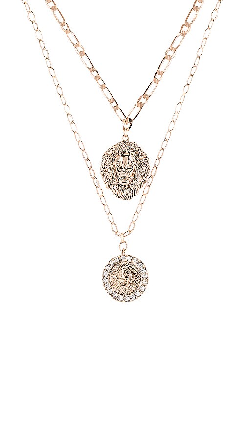 Feline Lariat