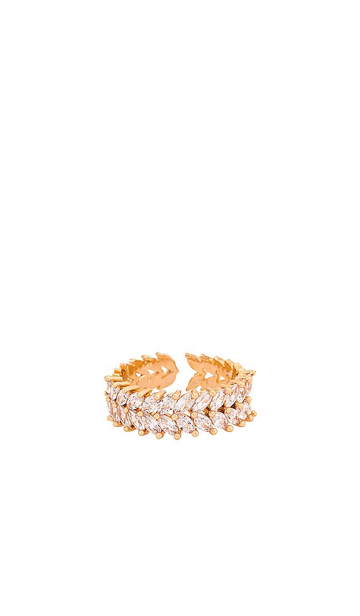 ANILLO