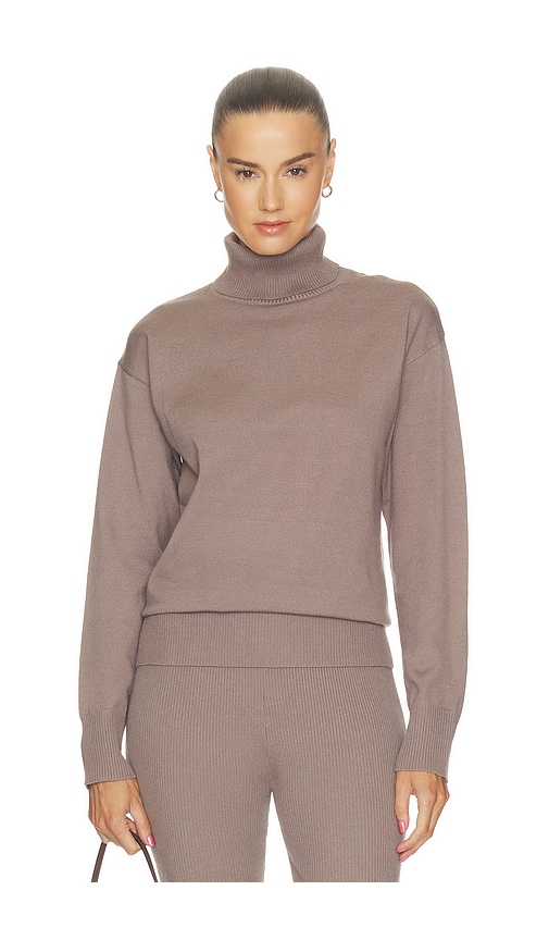All The Ways Laney Turtleneck Sweater In Brown