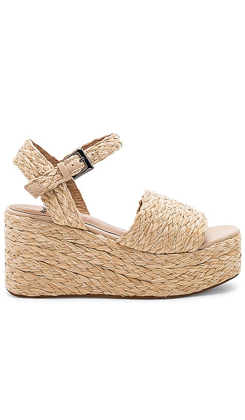 Suzie Wedge