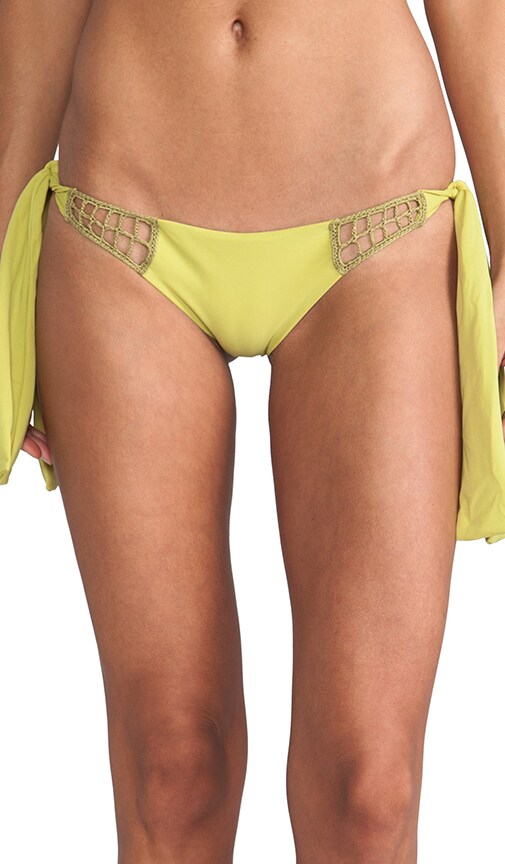 Anini Bikini Bottom