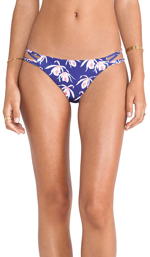Maui Bottom