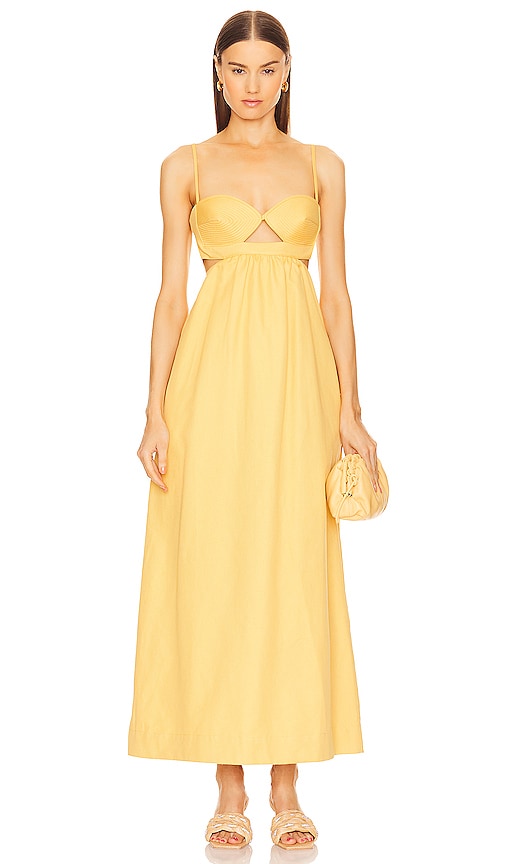 Adriana Degreas Maxi Dress In Yellow
