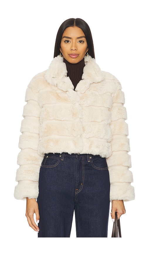 Adrienne Landau Goldie Jacket