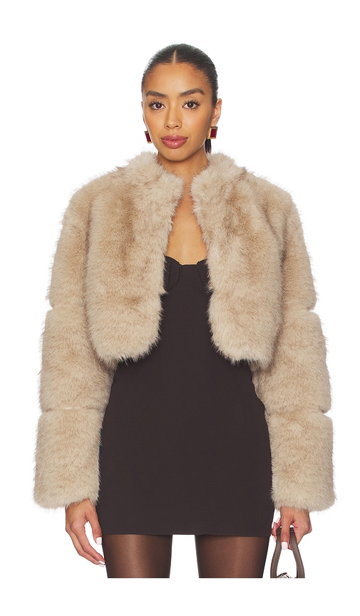 Adrienne Landau Faye Jacket