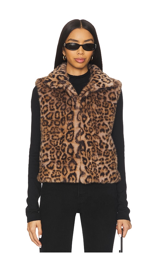 Adrienne Landau Printed Rabbit Vest