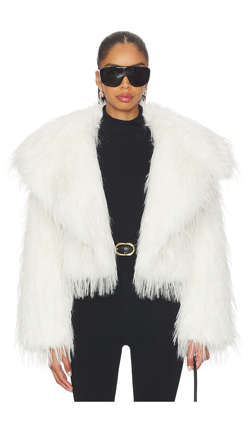 Revolve Lilith Jacket Adrienne Landau