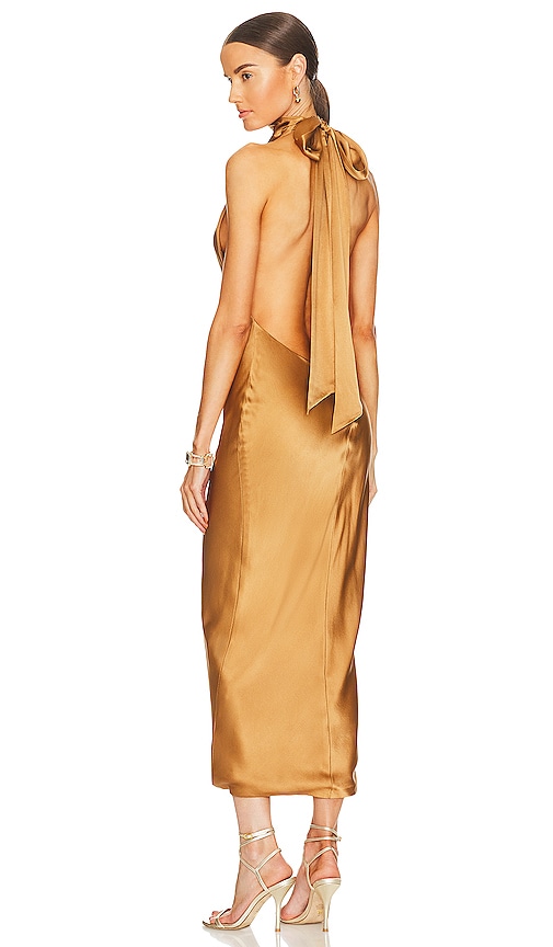 Aexae Silk Maxi Dress In Light Brown
