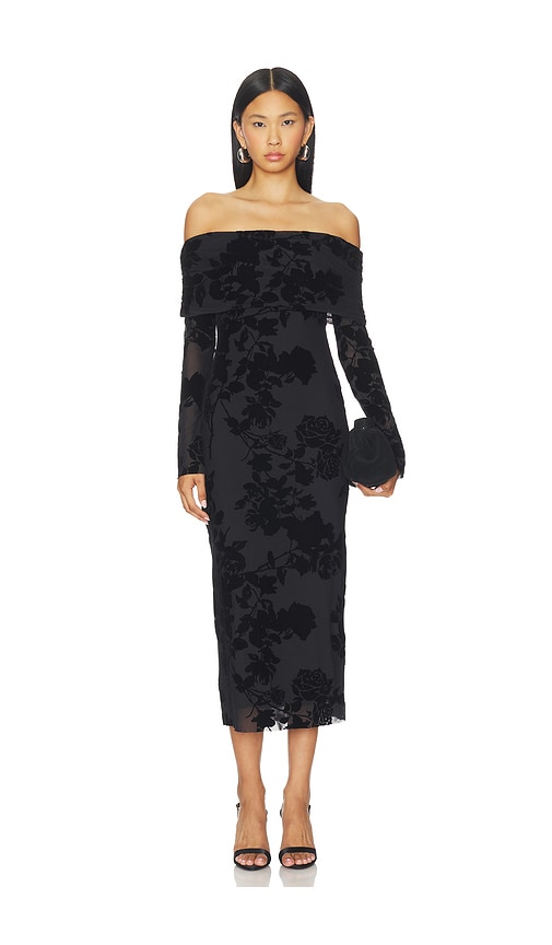 Cornelia Flock Mesh Dress