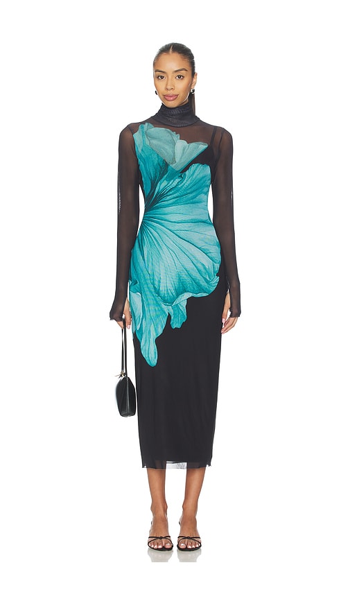 Shailene Power Mesh Dress