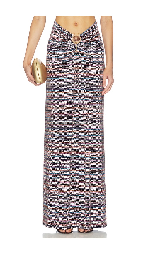 Carr Shiny Knit Skirt