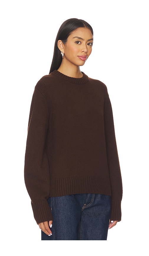 Aligne Dion Crew Neck Jumper In Brown