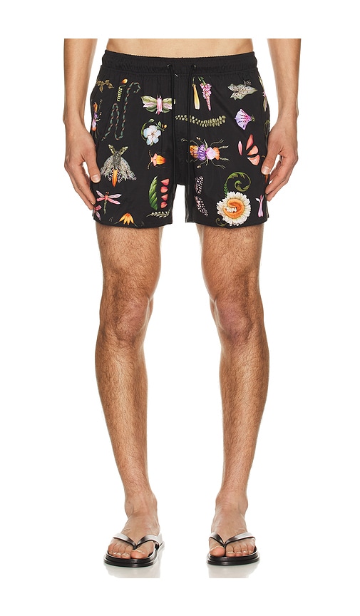 Agua Bendita SHORT DE BAIN en Black Taille 36 Also en 38 148 €