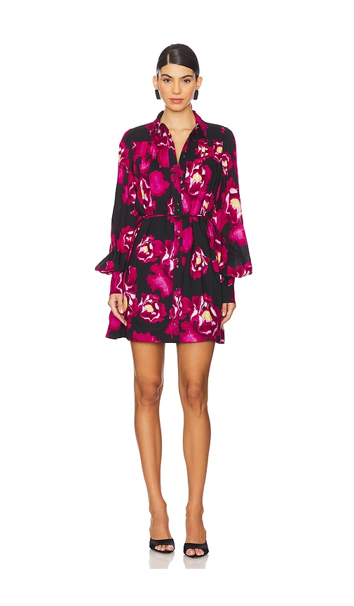Aje Lover Gauze Mini Dress in Midnight Peony | REVOLVE