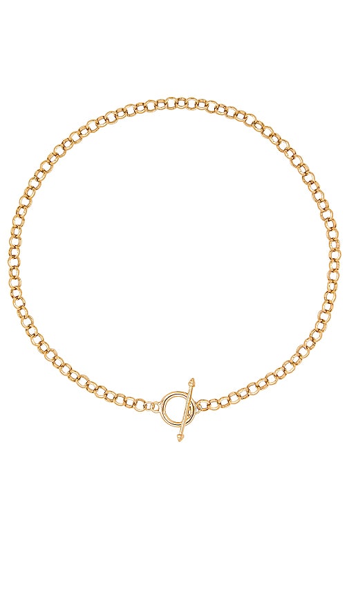 Alexa Leigh Rolo Chain Necklace in Gold