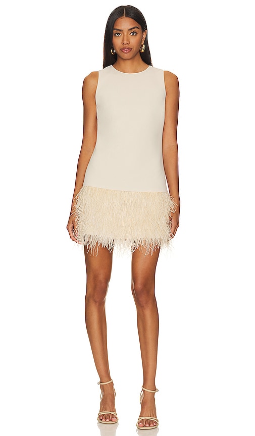 Feather Detail Dress